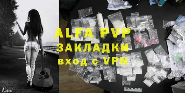 прущие грибы Михайловка